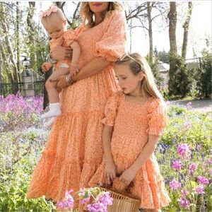 Ivy City Co Madeline dress in Sorbet in size 1x